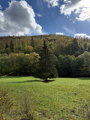 Rund um Zorge und durch das Wolfbachtal