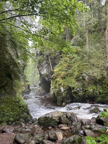 Schluchtensteig Etappe 3: Schattenmühle - Fischbach