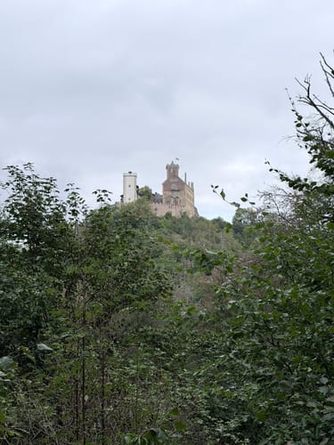 Im Teutoburgerwald über die Lavendelfelder und zur Falkenburg