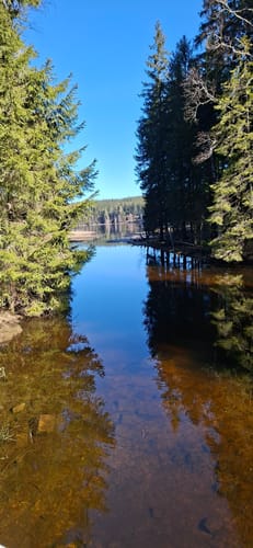Windgfällweiher ab Altglashütten