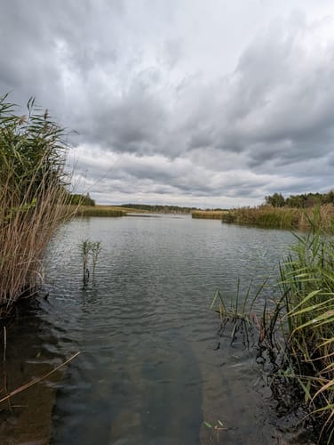 Holzweißiger Ostsee and Paupitzscher See Rundweg