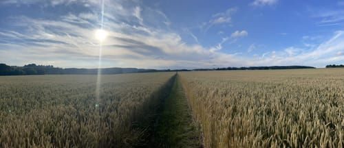 Krijtlandpad Etappe 4: Vaals - Gulpen