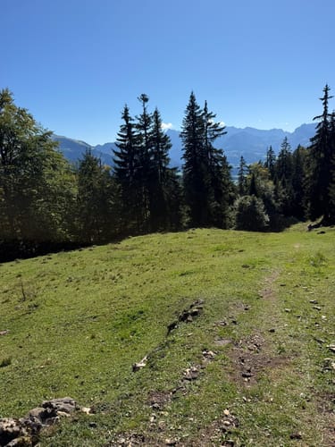 Chiemseeblick (Premiumwanderweg Alpin)