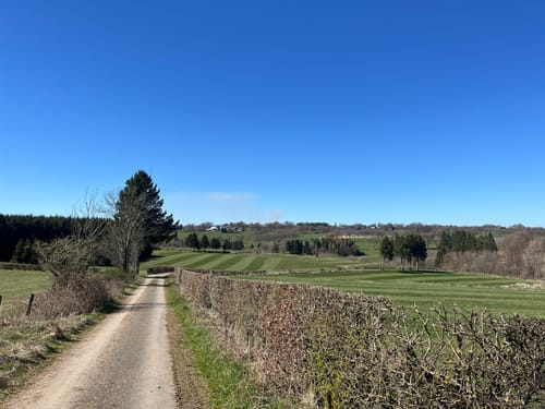 Rund um Mürringen über die Enkelberger Mühle
