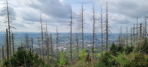 Knollen ab Bergneustadt