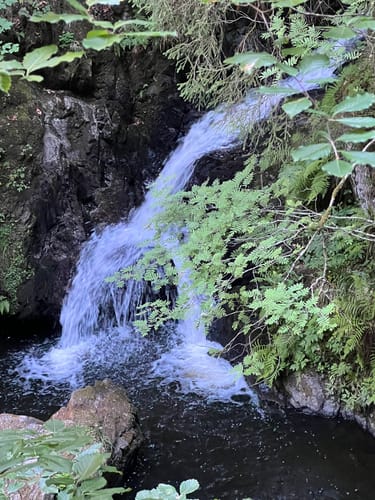 Der Ravennaschlucht Weg