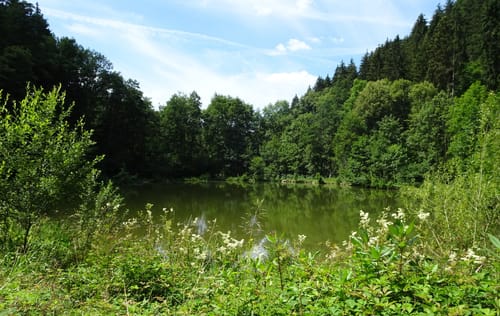 Neckargerach Rundweg (NG3)