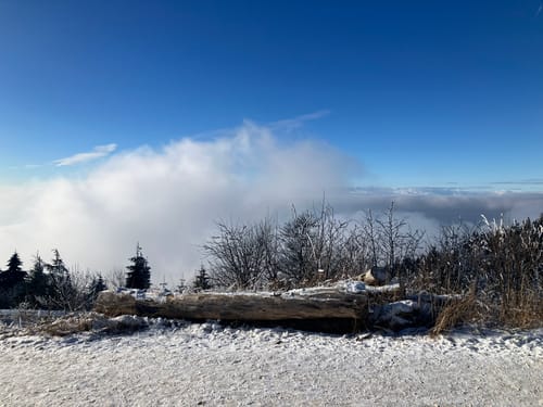 Burg Baden Rundweg
