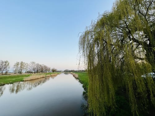 Entlang der Schwarzen Elster