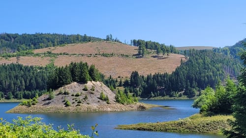 Panoramaweg Schwarzatal Etappe 4: Scheibe - Goldisthal