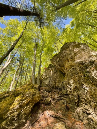 Höhenglücksteig