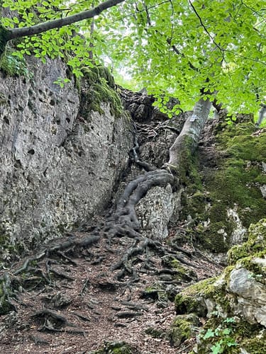 Runde am Eibgrat