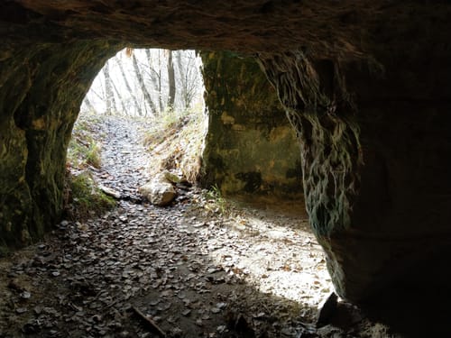 Burgthann Walking Etzelrunde