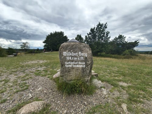Lüneburger Heide (Traumschleife)