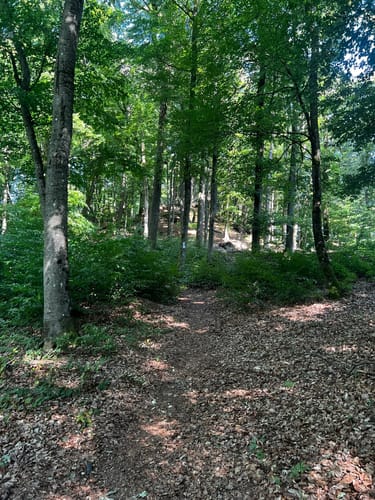 Arius-Tour (Premiumwanderweg)