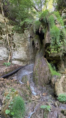Wutachschlucht