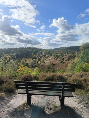 Lüneburger Heide - Runde