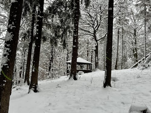 Kreuzweg und  De-Lassaulx Hütte