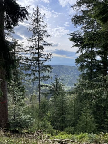 Westweg Etappe 2: Dobel - Forbach
