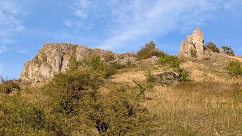 Walberla