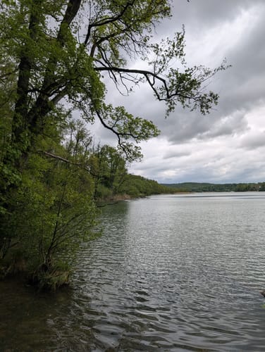 Um den Schermützelsee