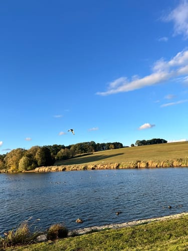 Rund um den Bucher Stausee