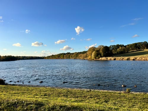 Rund um den Bucher Stausee