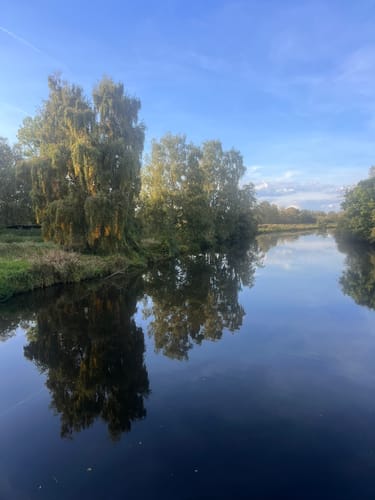 S1 Ufer-Moorwiesenweg (Steinhuder Rundweg)
