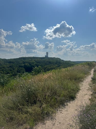 Grunewald: Drachenberg - Teufelsberg