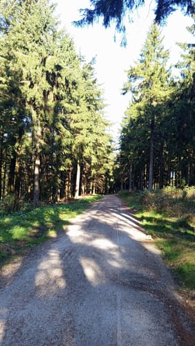 Im Teufelsquartier um den großen Feldberg