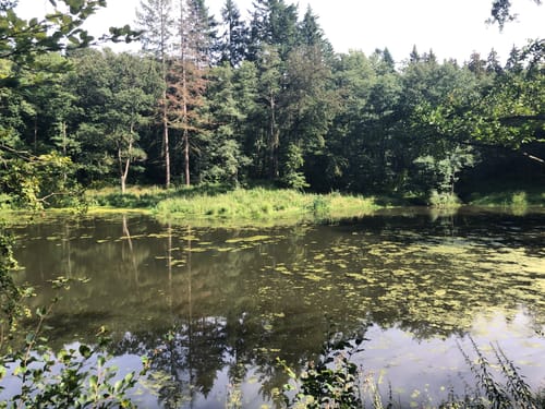 Schloss Rauischholzhausen und Senberg Rundweg