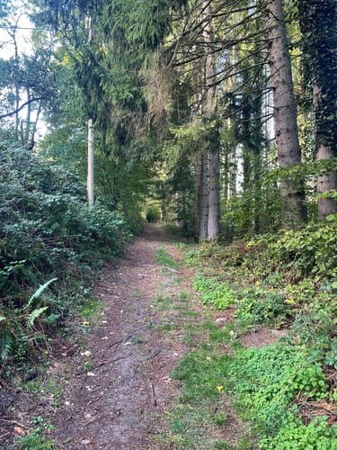 Westwall Weg