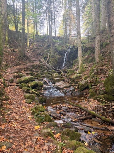 Domsteig (Premium-Wanderweg)