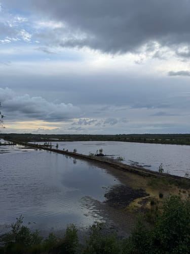 Himmelmoor: Nulldamm und Kleiner Knust