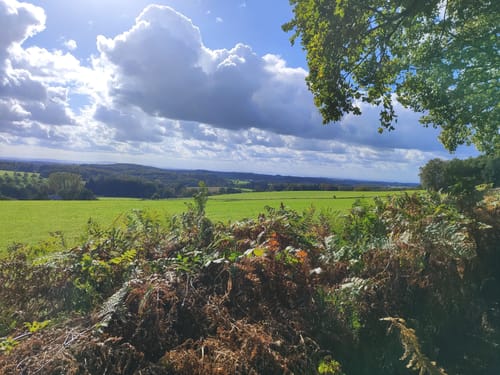Zum Heckberg ab Walmwiese bei Much