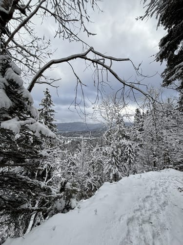Walchensee-Schlucht