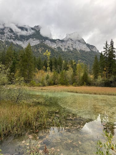 Hintersee und Zauberwald