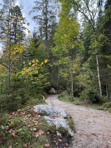 Hintersee und Zauberwald