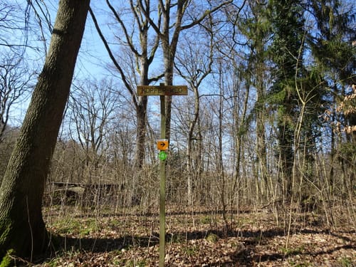 Rundwanderweg 5: Gaffenberg - Schweinsberg - Köpfertal