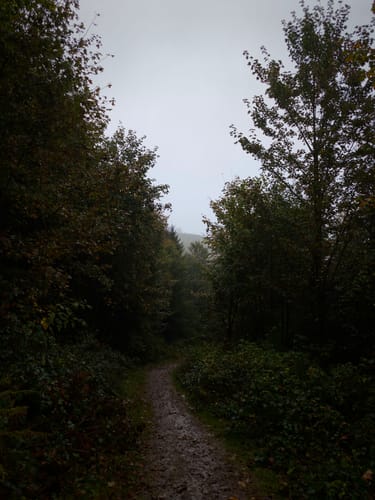 Töberschekopf