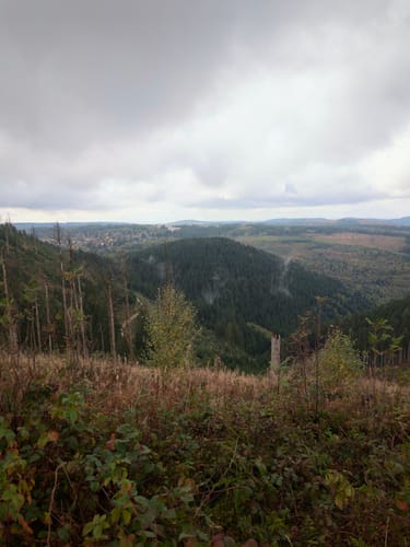 Töberschekopf