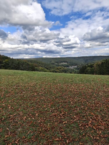 Mespelbrunn: Räuberlandweg 3