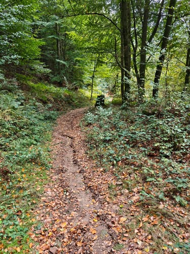 Mespelbrunn: Räuberlandweg 3
