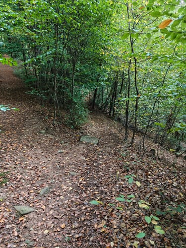 Mespelbrunn: Räuberlandweg 3