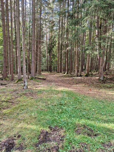 Mespelbrunn: Räuberlandweg 3
