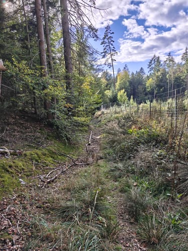 Mespelbrunn: Räuberlandweg 3