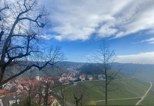 Über die Weinberge zur Grabkapelle auf dem Württemberg