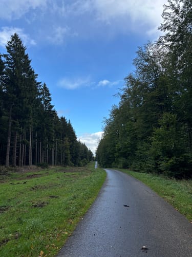 Entlang des Platißbachs