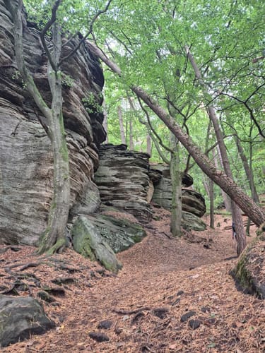 Auto-Pédestre Wanderweg Beaufort
