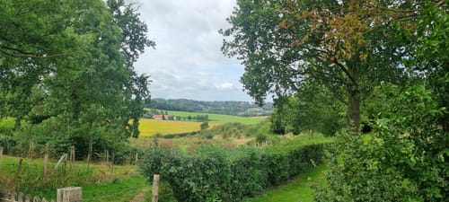 Hoogtewandeling